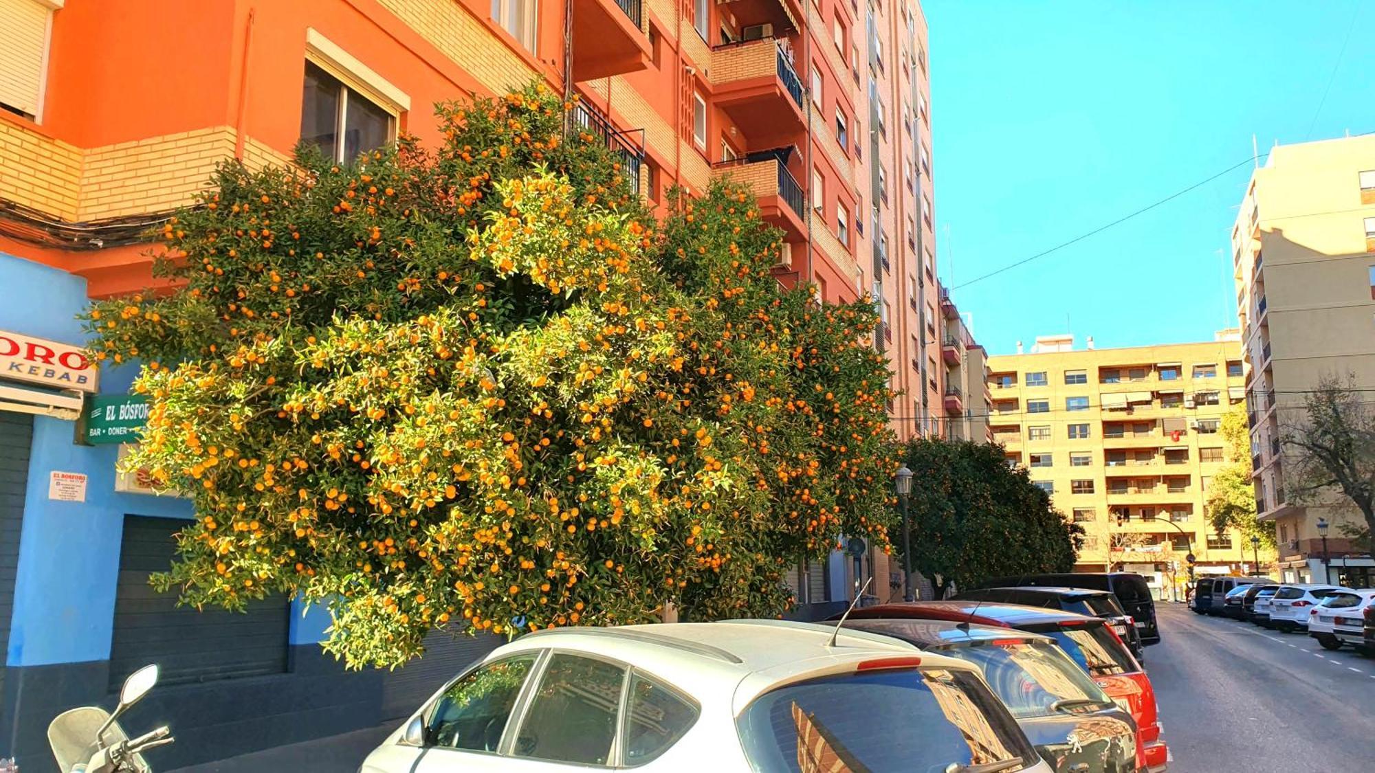 Nuevo Apartamentos Costa Del Alma Валенсия Экстерьер фото
