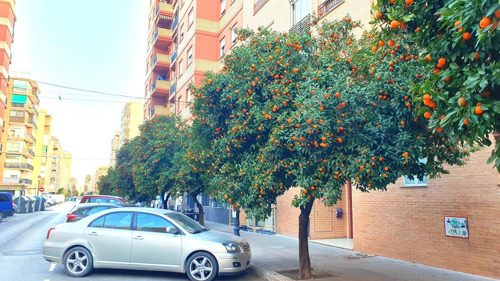 Nuevo Apartamentos Costa Del Alma Валенсия Экстерьер фото